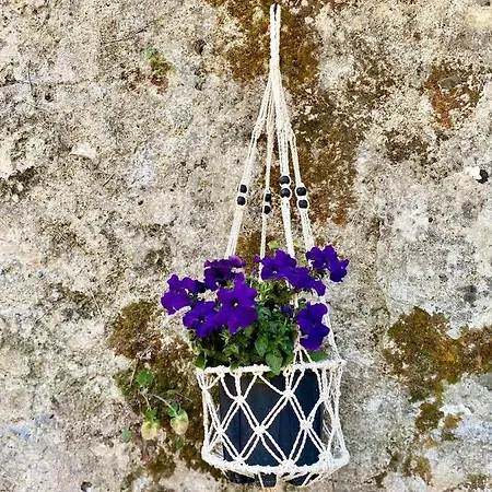 Appartement Luxury Family House With Backyard