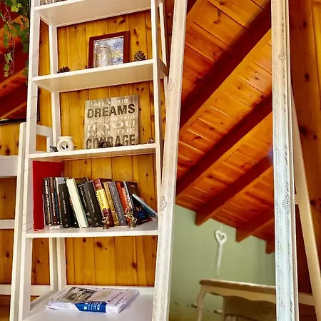 Luxury Family House With Backyard