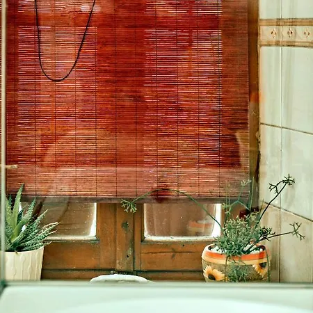 Luxury Family House With Backyard